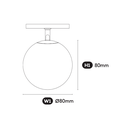linex 11 ball.webp