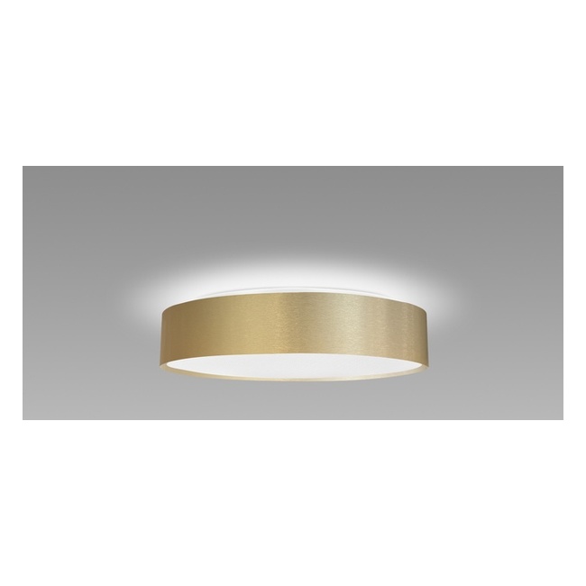 Compo Office Gold