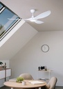 Kurra Ceiling Fan - In the home, light on