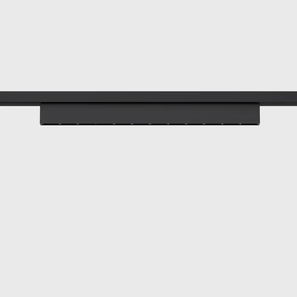 Filo-Spot-203 (2).webp