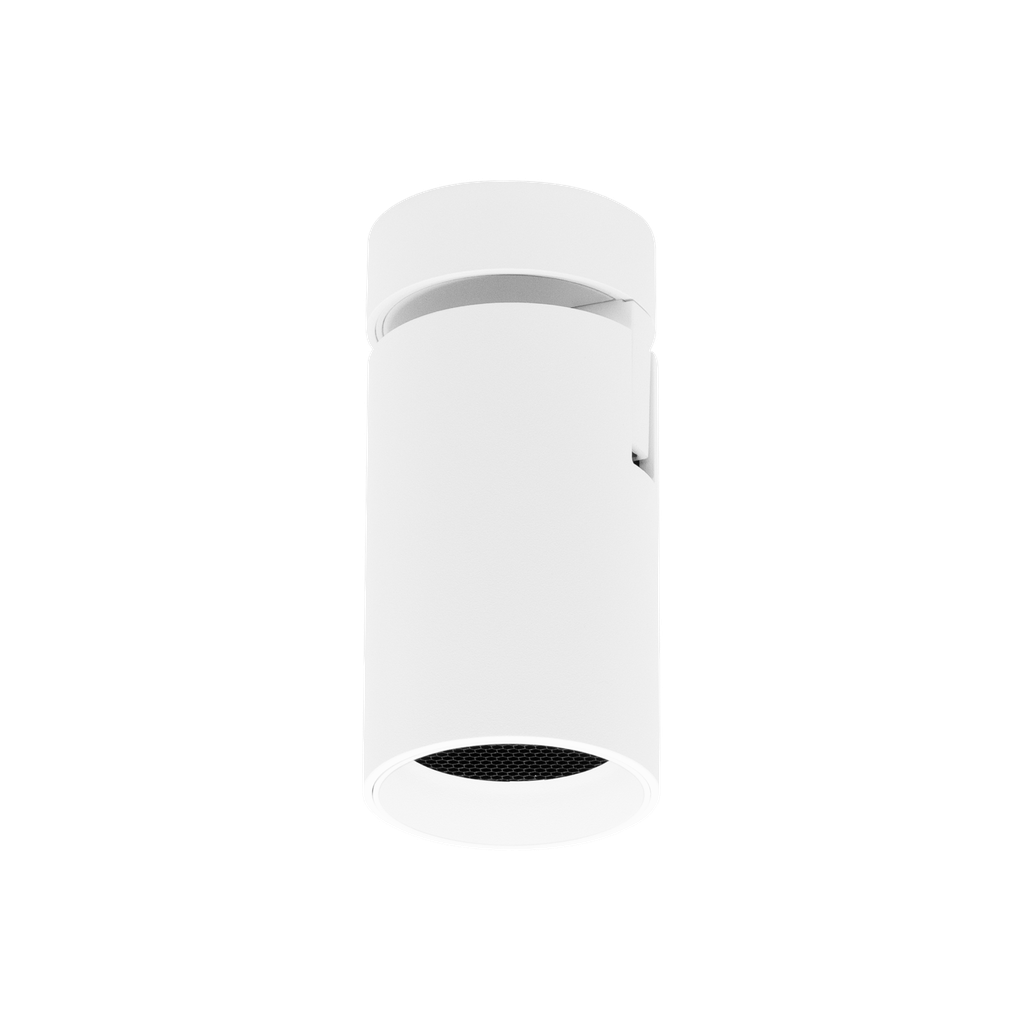 Twist Surface / Recessed (Surface, White, White, 3000K, Yes)