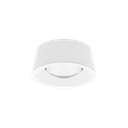 Kani
